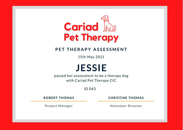 how can i get my dog certified as a therapy dog